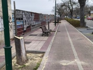 VTLP denuncia la tala de árboles en el barrio España y exige al Ayuntamiento que detenga su política de deforestación