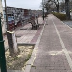 Valladolid Toma la Palabra denuncia la tala masiva de árboles en la ciudad: "Cada día sacan la motosierra"