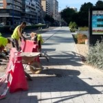 En un mes PP y Vox consuman la eliminación de la mejor infraestructura ciclista de Valladolid para devolver espacio al coche privado