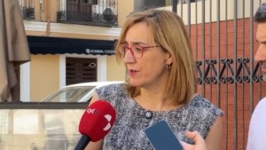 rocio anguita pleno estado ciudad valladolid