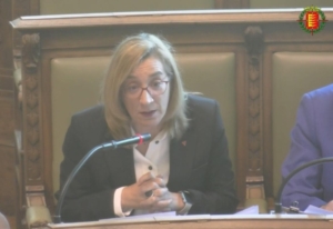 Rocío Anguita pleno estado de la ciudad