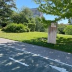 VTLP reclama al Ayuntamiento un mantenimiento de jardines sin químicos peligrosos