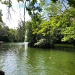 VTLP reclama políticas ambientales ambiciosas para afrontar el cambio climático en Valladolid