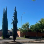 Ríosol abre por fin sus puertas como piscina municipal: un año de retraso y gracias al impulso del anterior equipo de gobierno