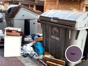 VTLP denuncia el abandono de los barrios y exige al equipo de gobierno que asuma su responsabilidad ante el deterioro de la limpieza en Valladolid