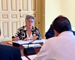 cristina_colino_vtlp_comision_movilidad