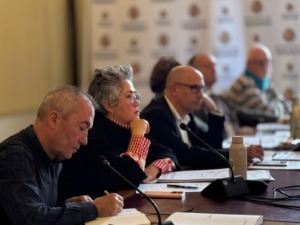 Valladolid Toma la Palabra exige transparencia sobre las talas y la gestión del arbolado urbano