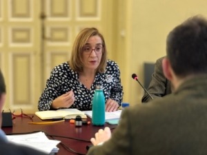 rocio_anguita_vtlp_comision_hacienda