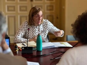 rocio_anguita_vtlp_fmd_20251104