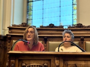 rocio_anguita_vtlp_mocion_25n