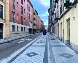 VTLP alerta de que las reformas de calles siguen sin incorporar arbolado: “No podemos permitir obras que olvidan la sombra y la salud”