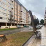 tala_joaquin_velasco_01