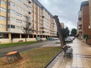 tala_joaquin_velasco_01