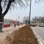 tala_arboles_camino_cementerio_marzo_2025_vtlp