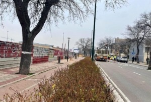 tala_arboles_camino_cementerio_marzo_2025_vtlp