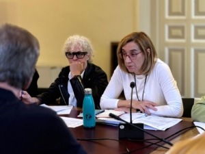 VTLP rechaza que el Pleno debata la rebaja de la edad penal propuesta por Vox: “No todo vale en las instituciones”