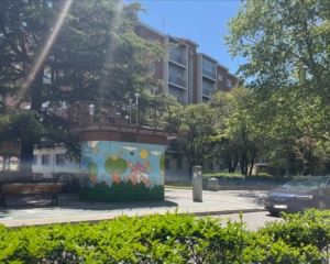 VTLP denuncia la inacción del Ayuntamiento ante 48 horas de alerta por ozono en Valladolid