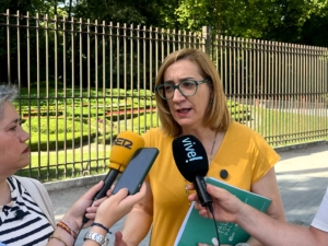 Valladolid Toma la Palabra pedirá en el Pleno municipal la suspensión de los presupuestos participativos por las irregularidades detectadas en el proceso