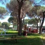 Valladolid Toma la Palabra reclama más árboles y zonas verdes para combatir el calor y mejorar la salud urbana