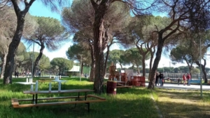 Valladolid Toma la Palabra reclama más árboles y zonas verdes para combatir el calor y mejorar la salud urbana