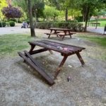 Valladolid Toma la Palabra critica el estado de abandono de los Jardines de la Campa de barrio Belén y exige una actuación urgente del Ayuntamiento