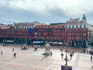 VTLP rechaza que VIVA compre viviendas de 25 metros cuadrados sin estancias separadas para el parque público de alquiler
